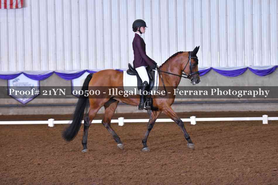 Proof 21YN_00500