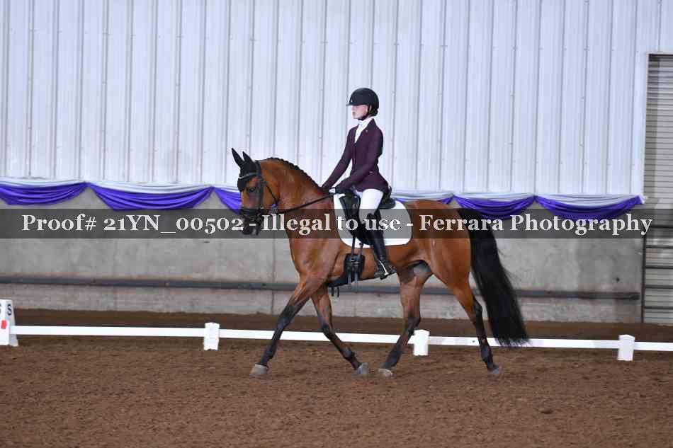 Proof 21YN_00502