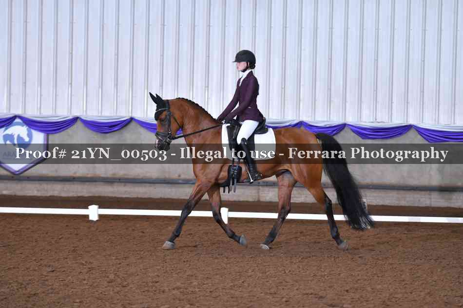 Proof 21YN_00503