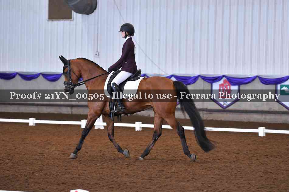 Proof 21YN_00505