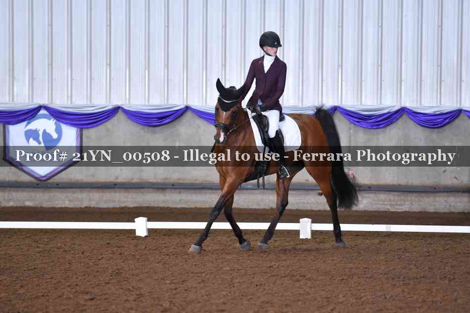 Proof 21YN_00508
