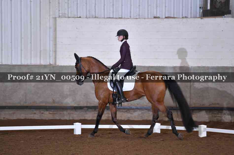 Proof 21YN_00509