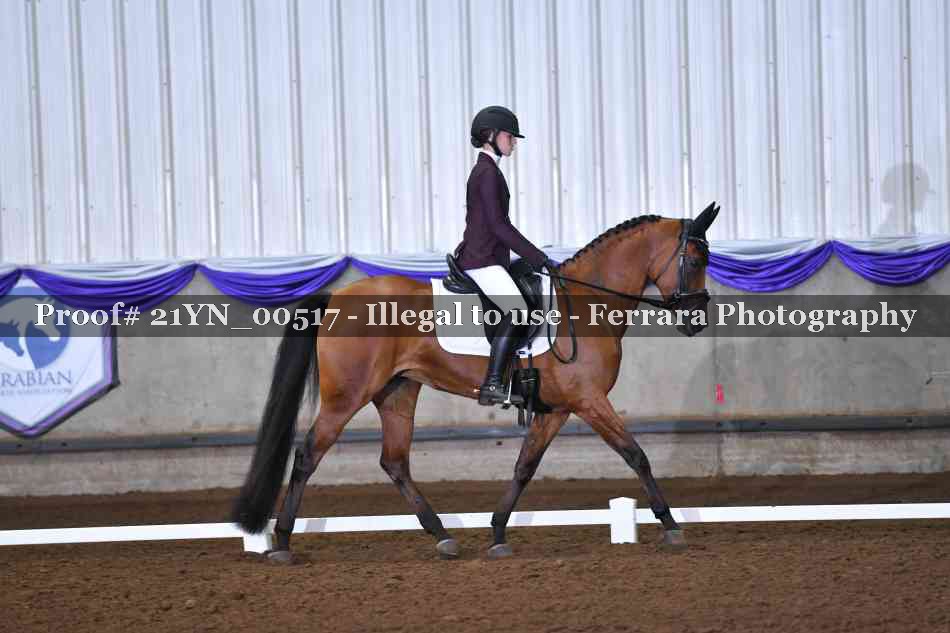 Proof 21YN_00517