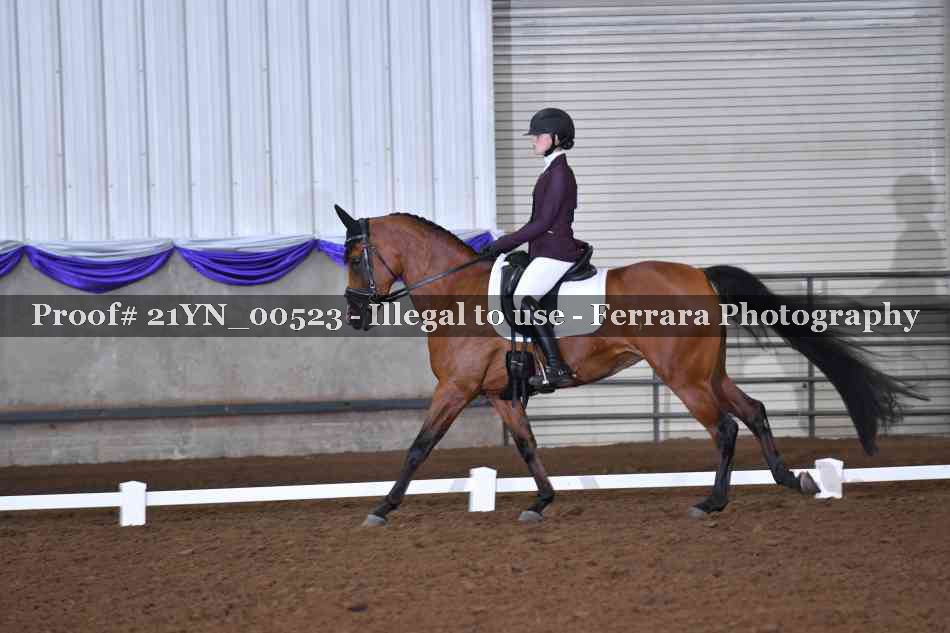 Proof 21YN_00523