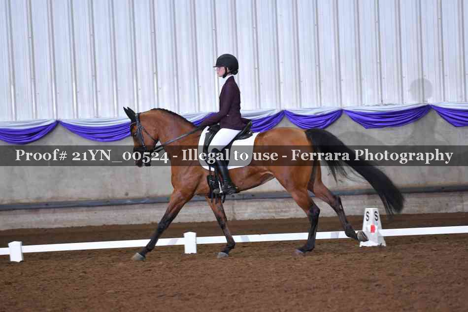 Proof 21YN_00524