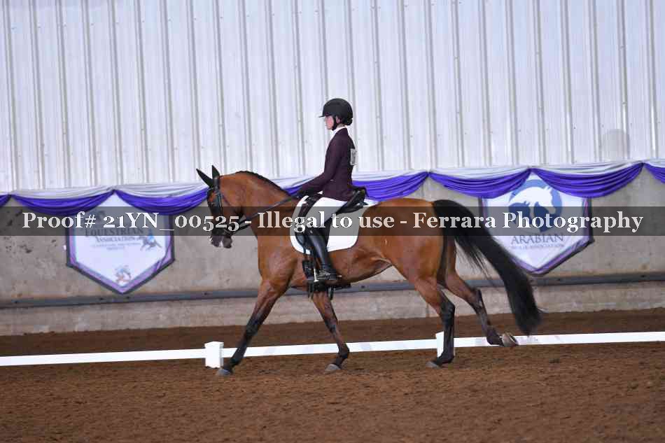 Proof 21YN_00525