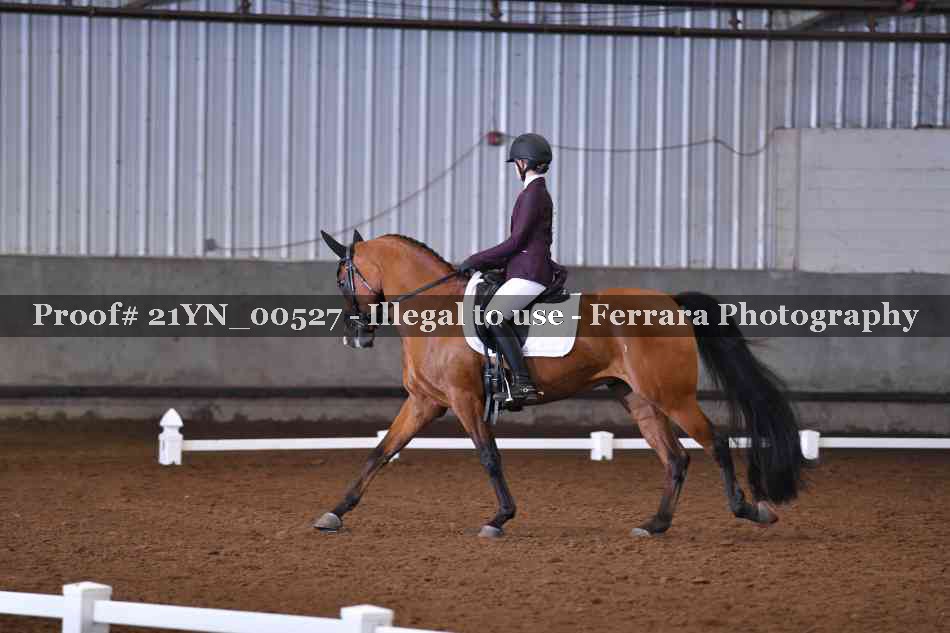 Proof 21YN_00527