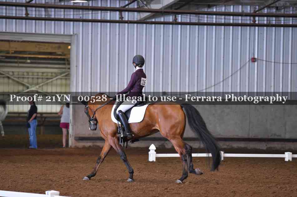 Proof 21YN_00528