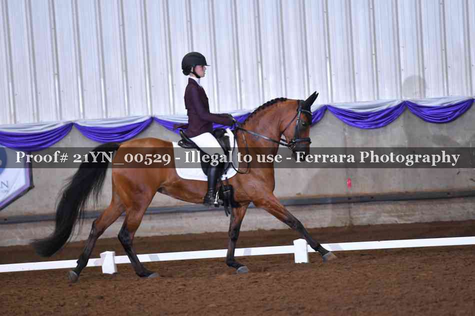Proof 21YN_00529