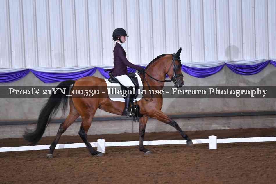 Proof 21YN_00530
