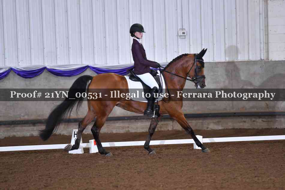 Proof 21YN_00531
