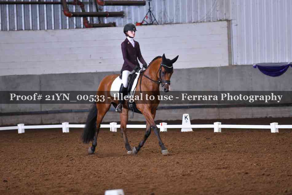 Proof 21YN_00533