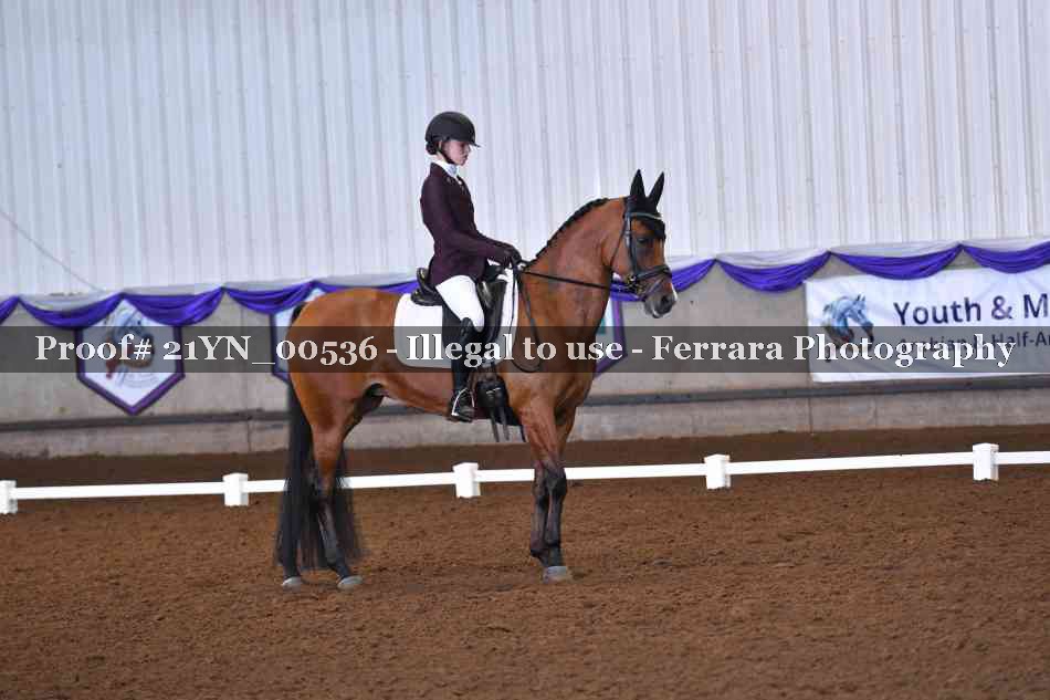 Proof 21YN_00536