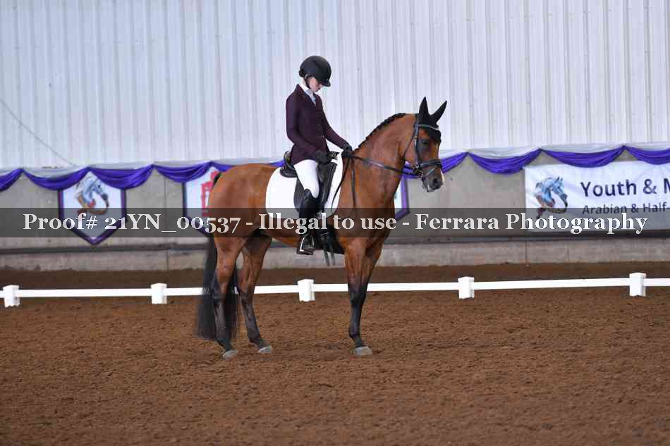 Proof 21YN_00537