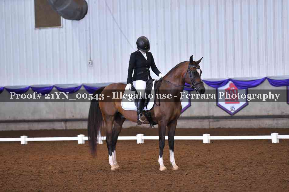 Proof 21YN_00543