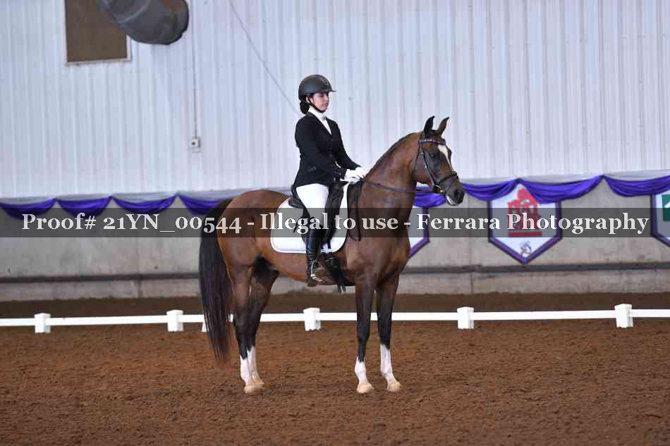 Proof 21YN_00544