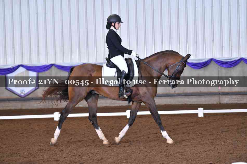 Proof 21YN_00545