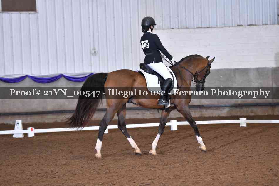 Proof 21YN_00547