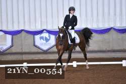 21YN_00554 proof