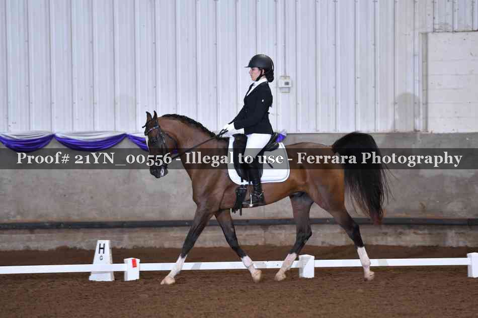 Proof 21YN_00556