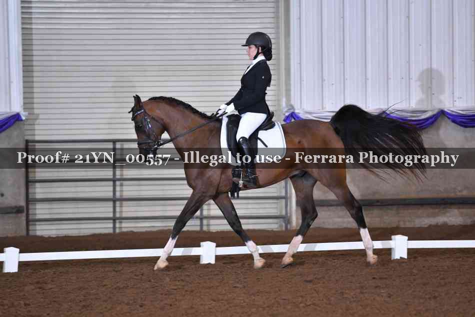 Proof 21YN_00557