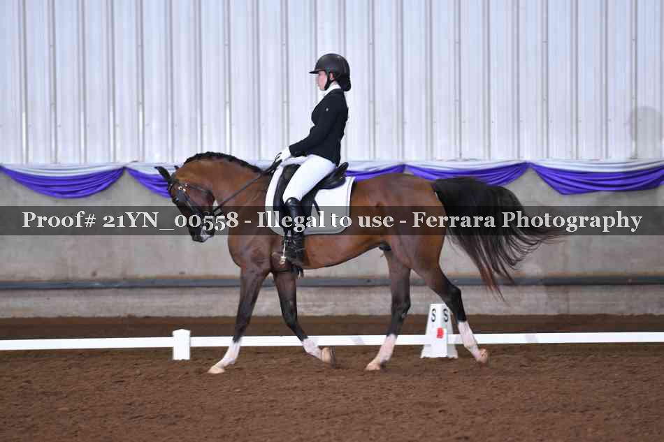 Proof 21YN_00558