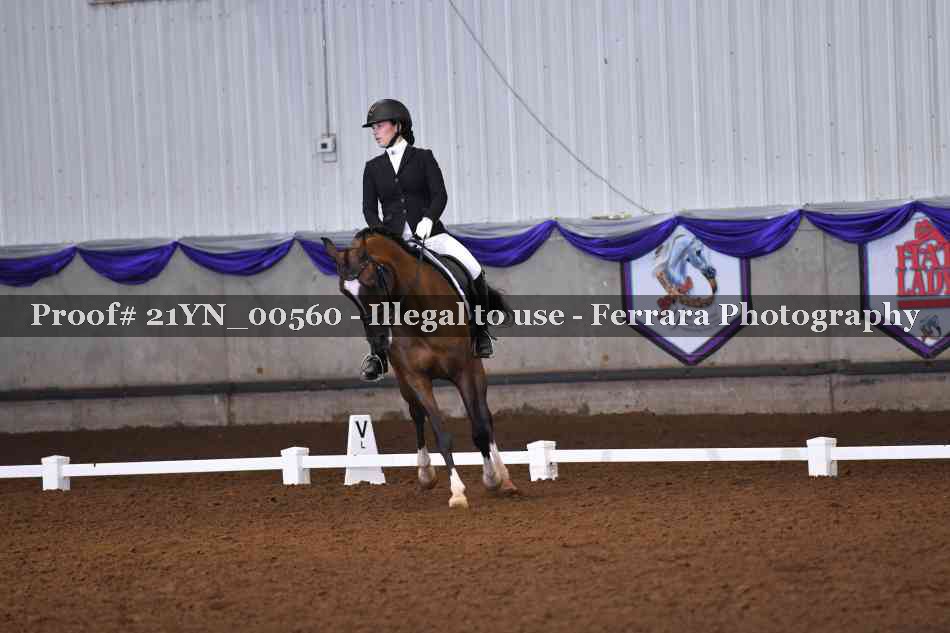 Proof 21YN_00560