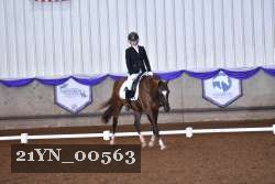 21YN_00563 proof