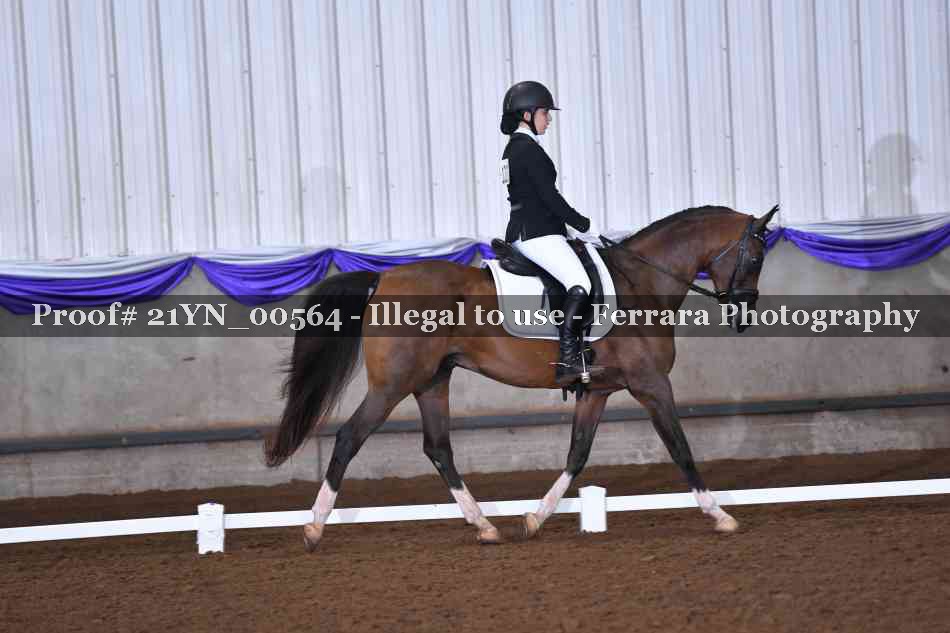 Proof 21YN_00564