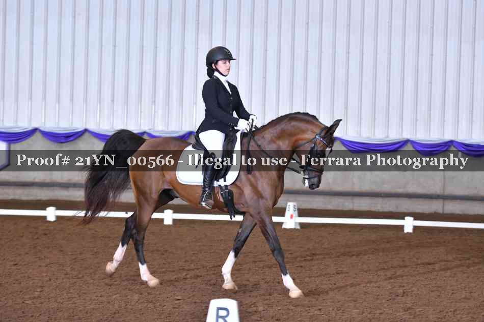 Proof 21YN_00566