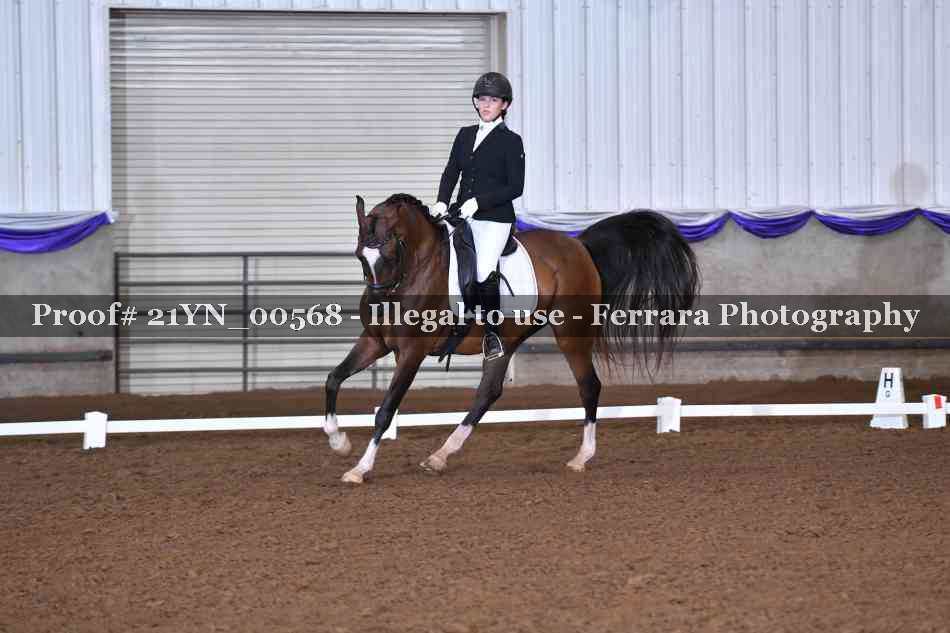 Proof 21YN_00568