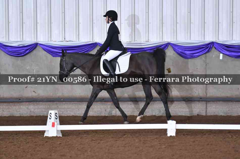 Proof 21YN_00586