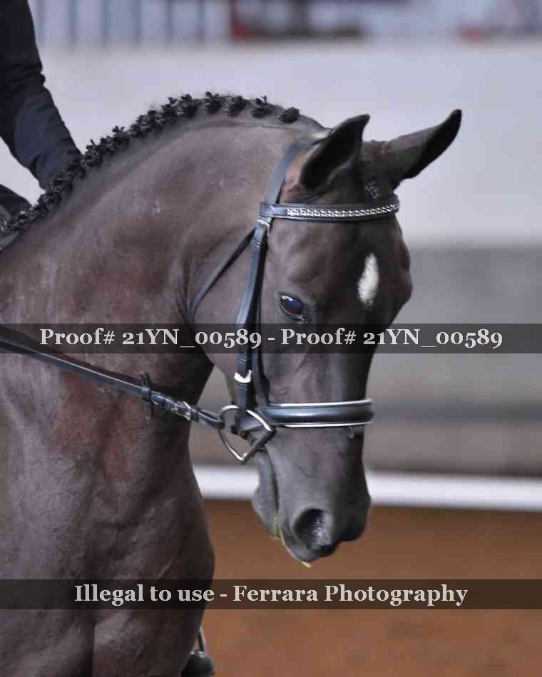 Proof 21YN_00589