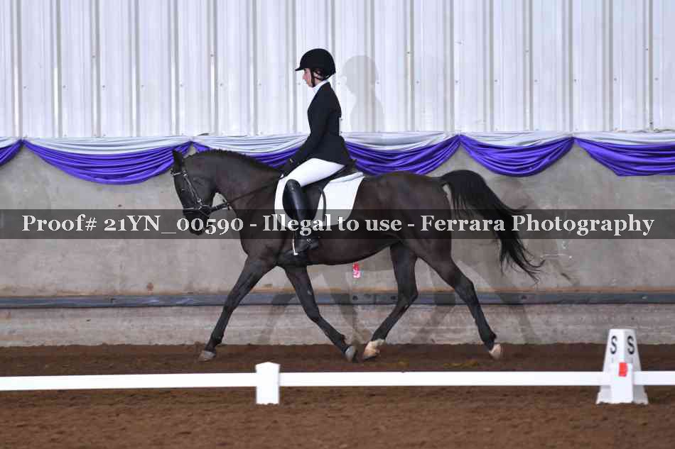Proof 21YN_00590