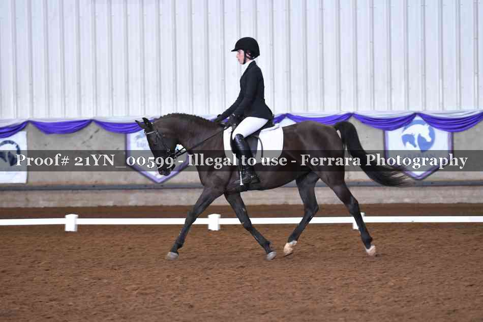 Proof 21YN_00599