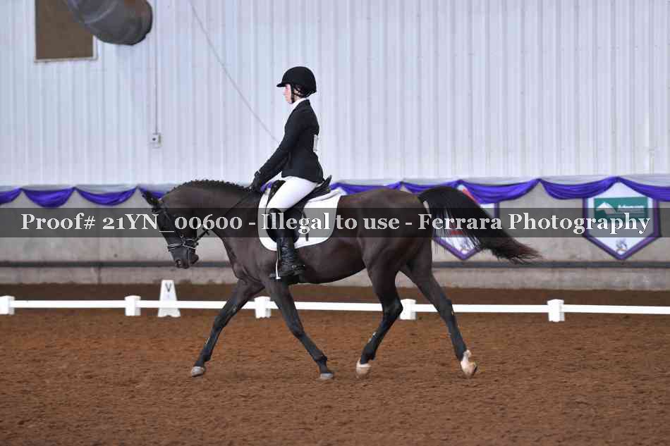 Proof 21YN_00600