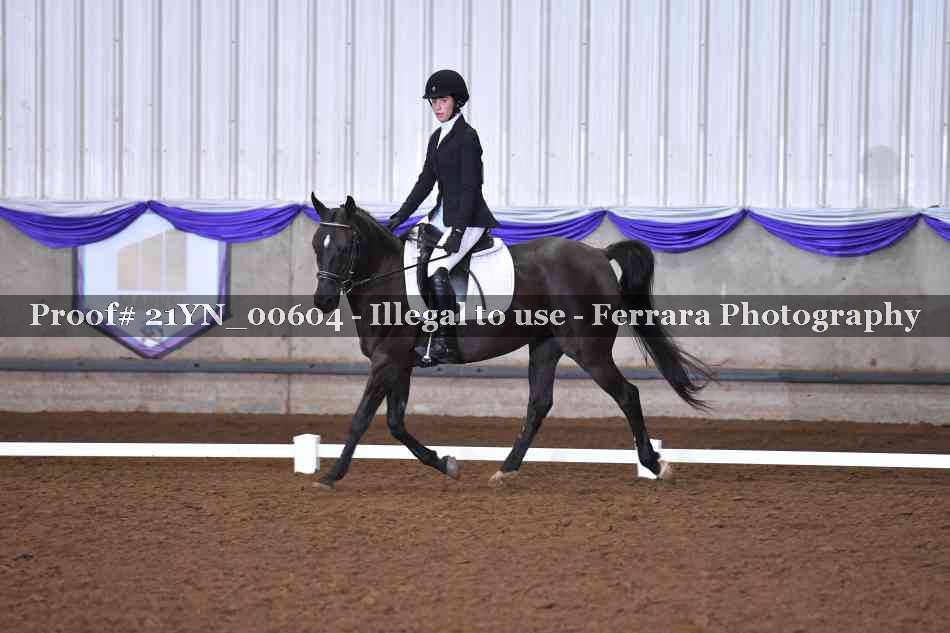 Proof 21YN_00604