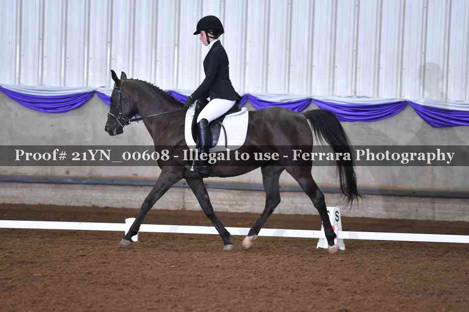 Proof 21YN_00608