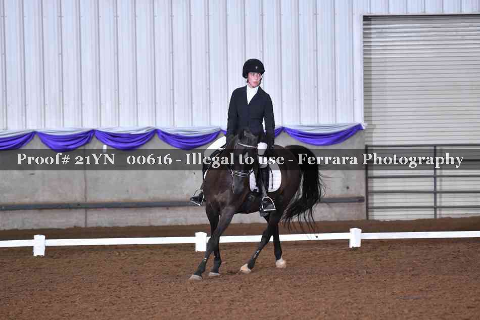 Proof 21YN_00616