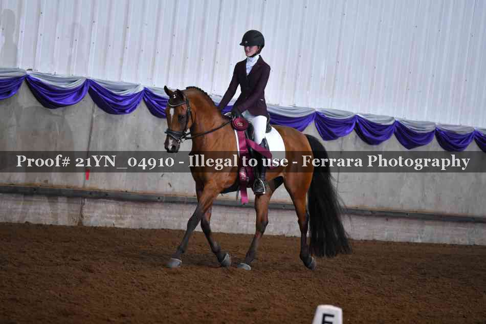 Proof 21YN_04910