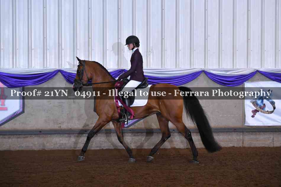Proof 21YN_04911