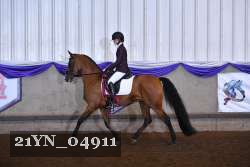 21YN_04911 proof