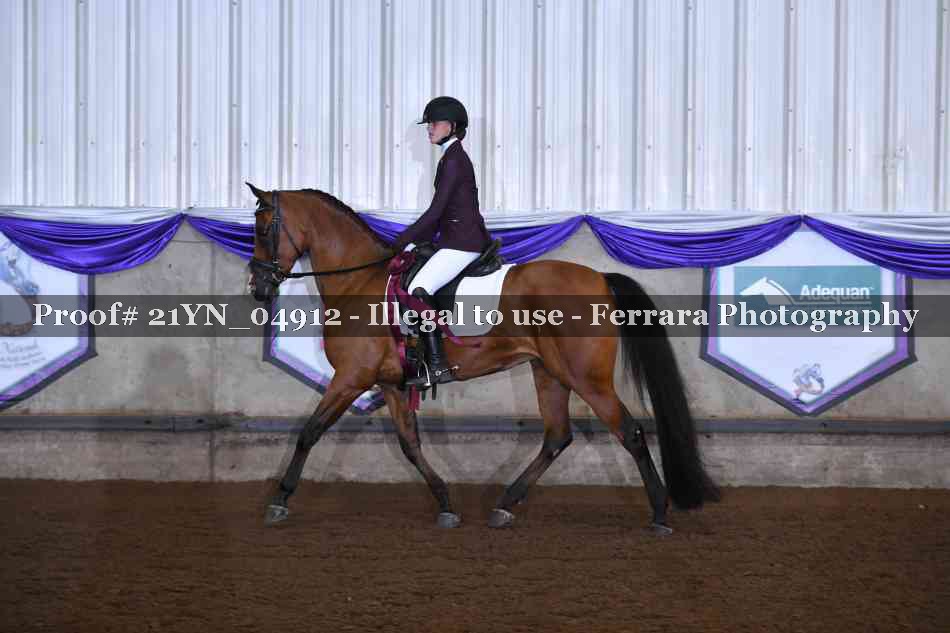 Proof 21YN_04912