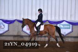 21YN_04919 proof
