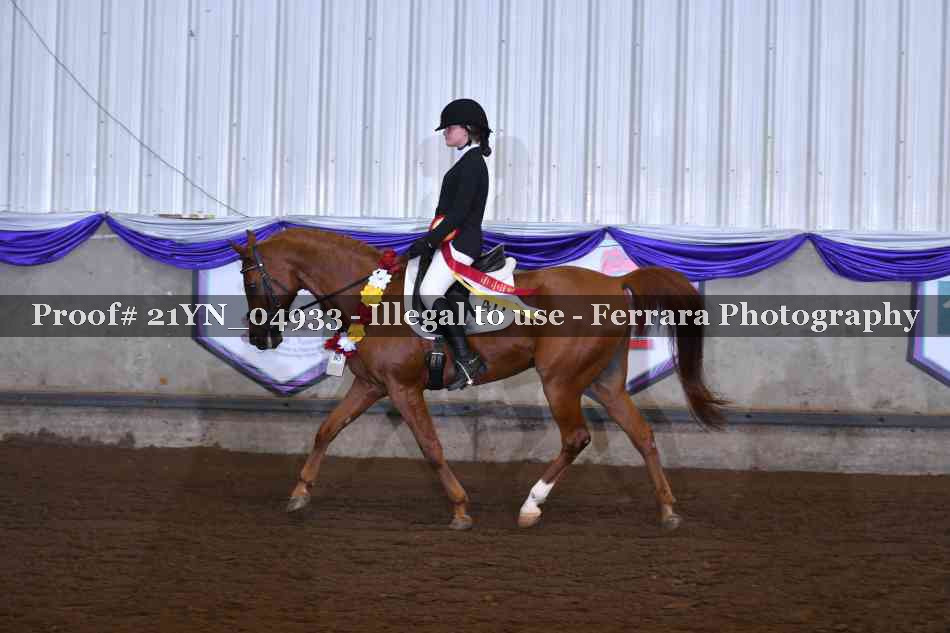 Proof 21YN_04933