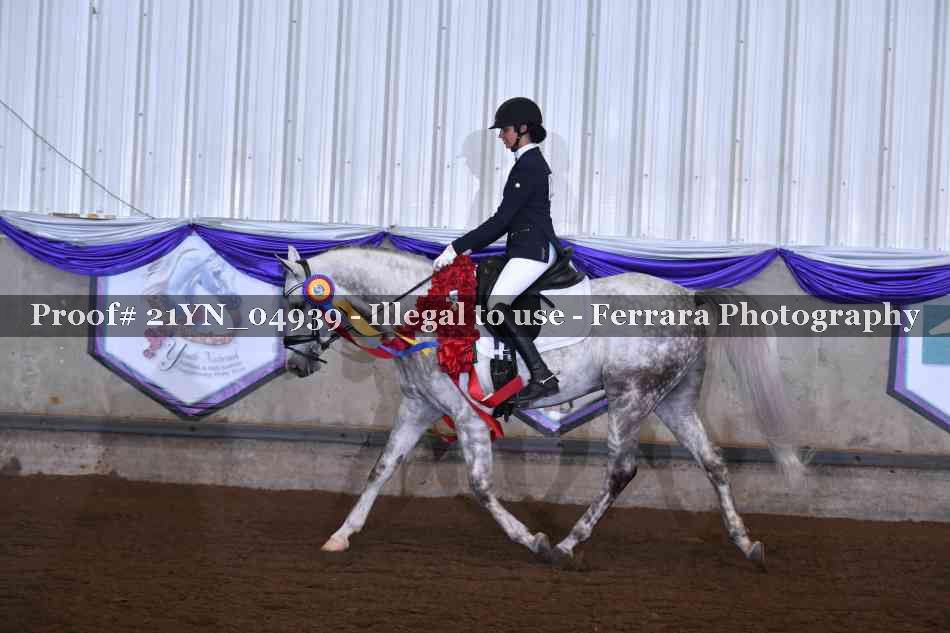 Proof 21YN_04939