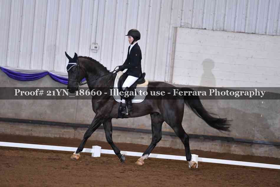 Proof 21YN_18660