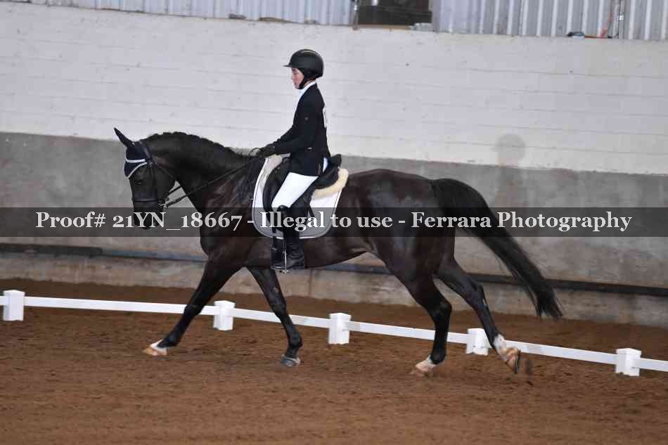 Proof 21YN_18667