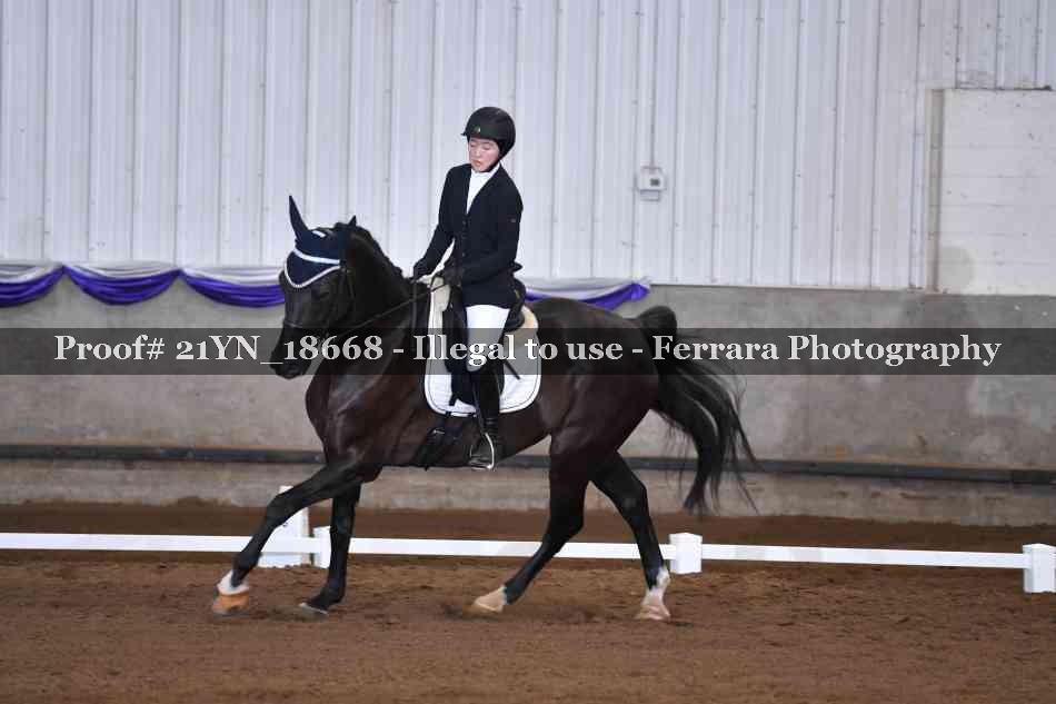 Proof 21YN_18668