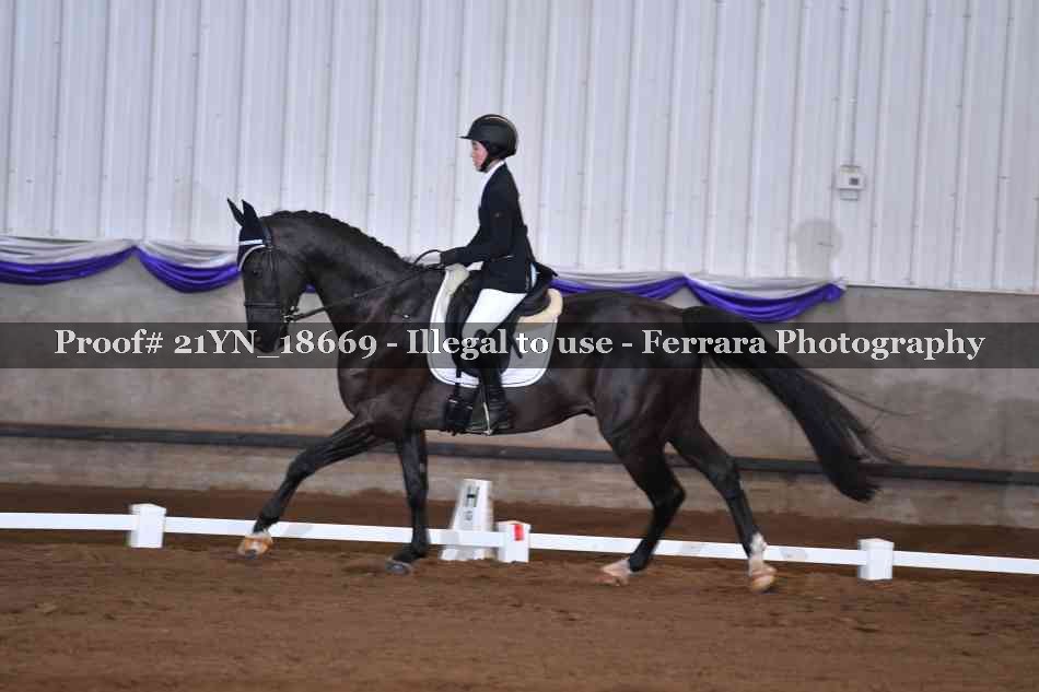 Proof 21YN_18669